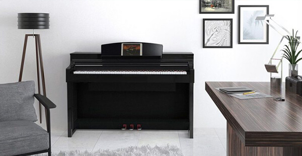 Music City – Tổng Kho Piano, Guitar, Organ | Dịch Vụ Giáo Dục Âm Nhạc