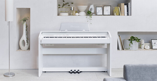 Music City – Tổng Kho Piano, Guitar, Organ | Dịch Vụ Giáo Dục Âm Nhạc