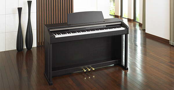 Music City – Tổng Kho Piano, Guitar, Organ | Dịch Vụ Giáo Dục Âm Nhạc