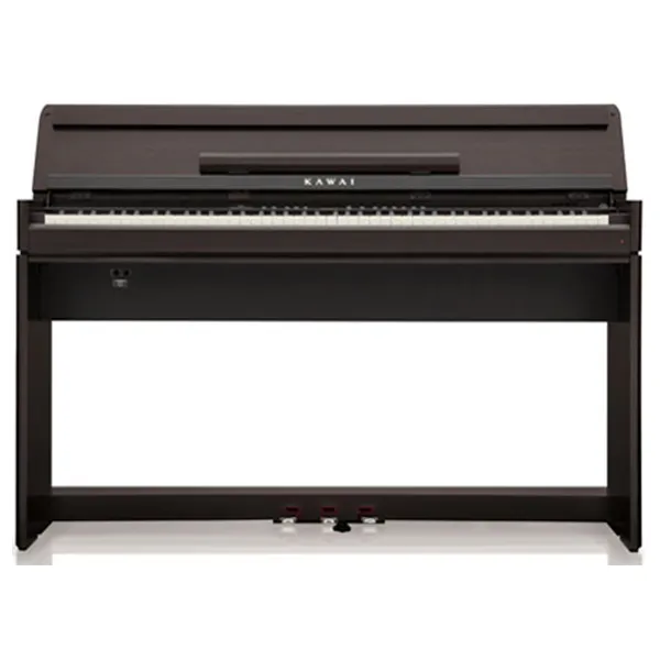 Music City – Tổng Kho Piano, Guitar, Organ | Dịch Vụ Giáo Dục Âm Nhạc
