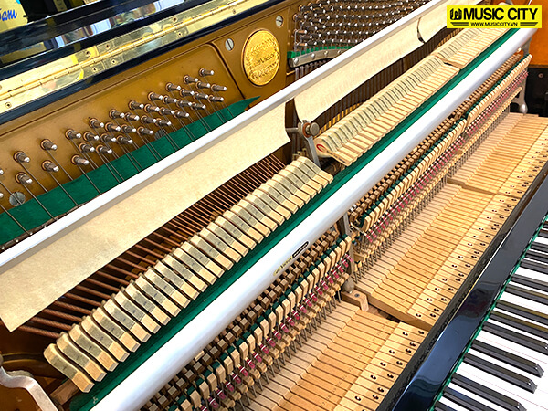 Music City – Tổng Kho Piano, Guitar, Organ | Dịch Vụ Giáo Dục Âm Nhạc