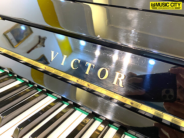 Music City – Tổng Kho Piano, Guitar, Organ | Dịch Vụ Giáo Dục Âm Nhạc