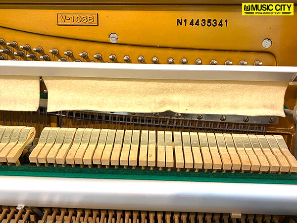 Music City – Tổng Kho Piano, Guitar, Organ | Dịch Vụ Giáo Dục Âm Nhạc