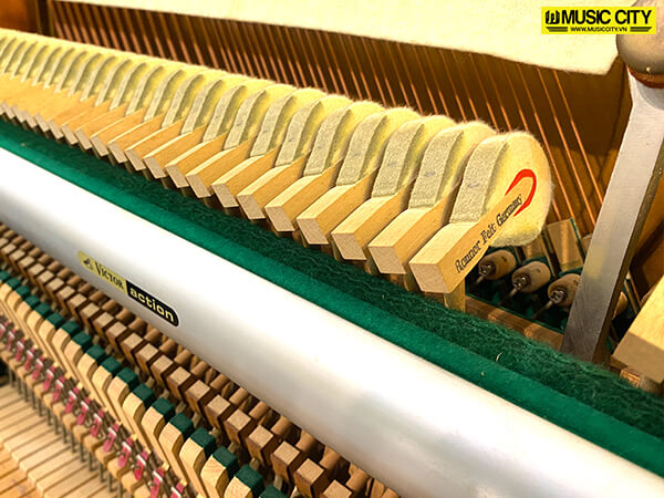 Music City – Tổng Kho Piano, Guitar, Organ | Dịch Vụ Giáo Dục Âm Nhạc