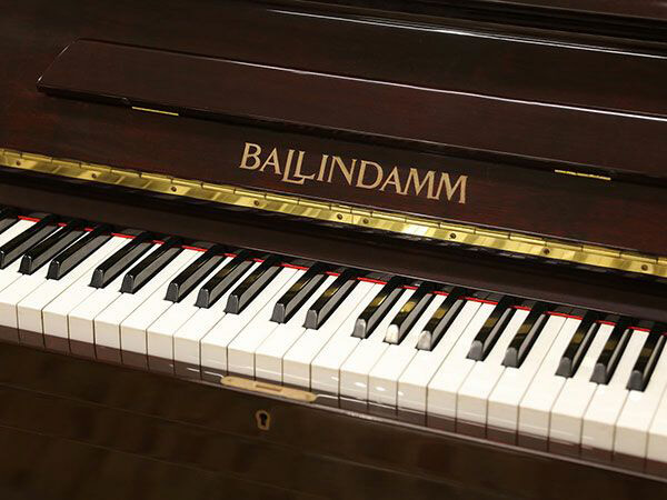 Music City – Tổng Kho Piano, Guitar, Organ | Dịch Vụ Giáo Dục Âm Nhạc
