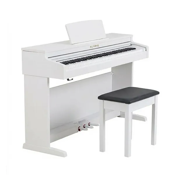 Music City – Tổng Kho Piano, Guitar, Organ | Dịch Vụ Giáo Dục Âm Nhạc