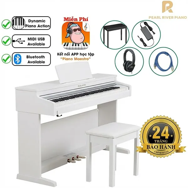 Music City – Tổng Kho Piano, Guitar, Organ | Dịch Vụ Giáo Dục Âm Nhạc