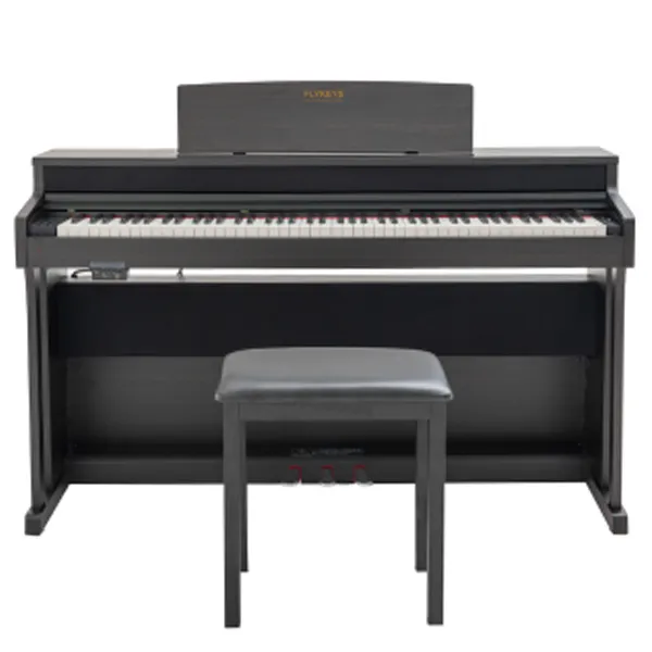Music City – Tổng Kho Piano, Guitar, Organ | Dịch Vụ Giáo Dục Âm Nhạc