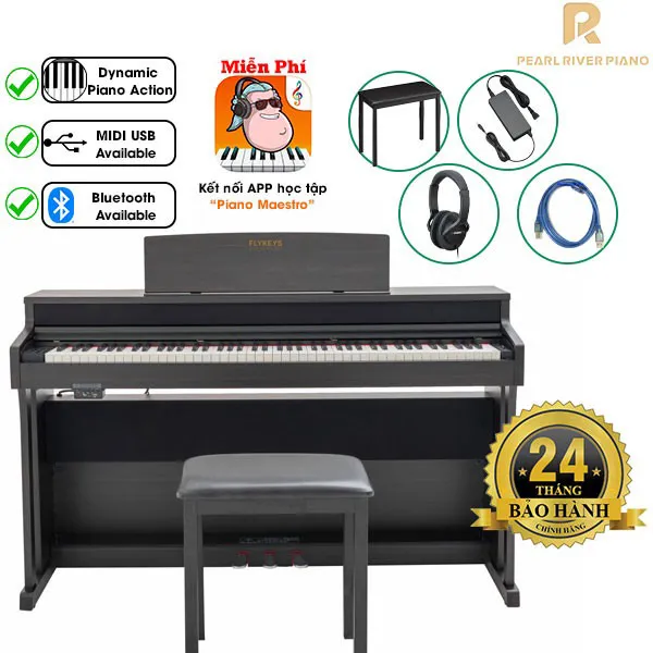 Music City – Tổng Kho Piano, Guitar, Organ | Dịch Vụ Giáo Dục Âm Nhạc