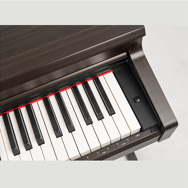 Music City – Tổng Kho Piano, Guitar, Organ | Dịch Vụ Giáo Dục Âm Nhạc