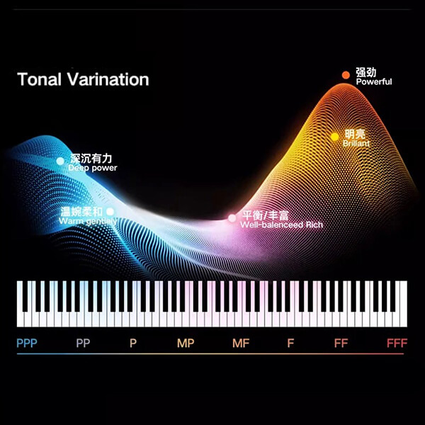 Music City – Tổng Kho Piano, Guitar, Organ | Dịch Vụ Giáo Dục Âm Nhạc