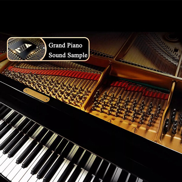 Music City – Tổng Kho Piano, Guitar, Organ | Dịch Vụ Giáo Dục Âm Nhạc