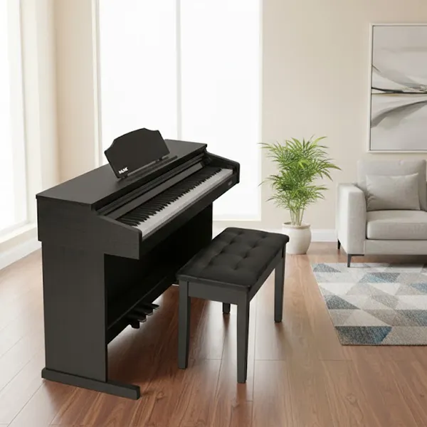 Music City – Tổng Kho Piano, Guitar, Organ | Dịch Vụ Giáo Dục Âm Nhạc