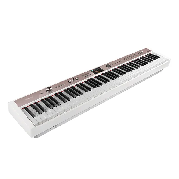 Music City – Tổng Kho Piano, Guitar, Organ | Dịch Vụ Giáo Dục Âm Nhạc