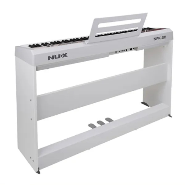 Music City – Tổng Kho Piano, Guitar, Organ | Dịch Vụ Giáo Dục Âm Nhạc