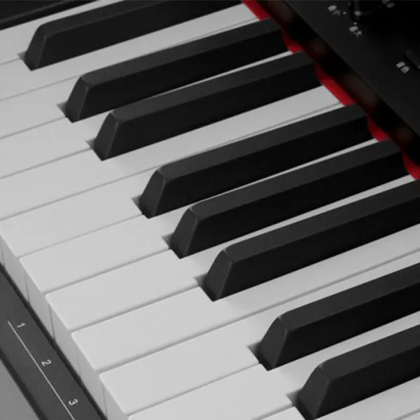 Music City – Tổng Kho Piano, Guitar, Organ | Dịch Vụ Giáo Dục Âm Nhạc