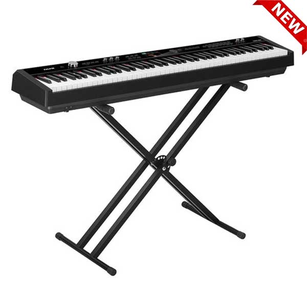 Music City – Tổng Kho Piano, Guitar, Organ | Dịch Vụ Giáo Dục Âm Nhạc