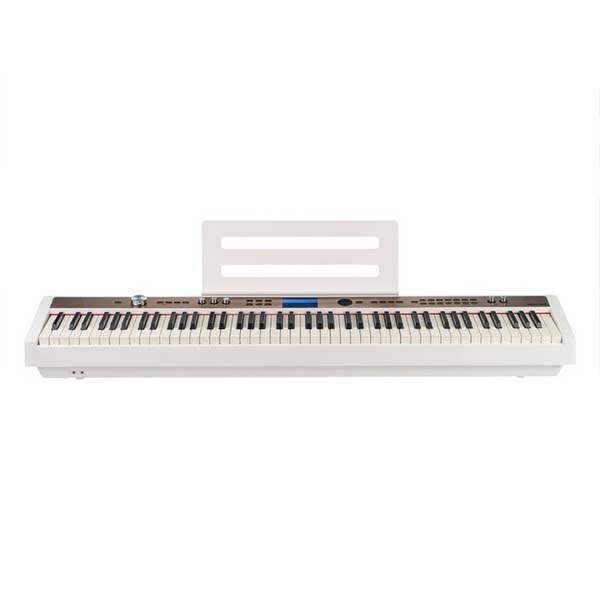 Music City – Tổng Kho Piano, Guitar, Organ | Dịch Vụ Giáo Dục Âm Nhạc