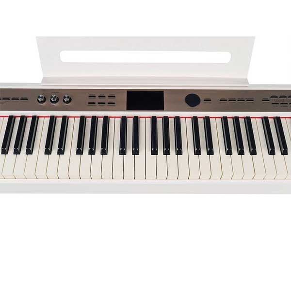 Music City – Tổng Kho Piano, Guitar, Organ | Dịch Vụ Giáo Dục Âm Nhạc