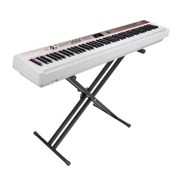 Music City – Tổng Kho Piano, Guitar, Organ | Dịch Vụ Giáo Dục Âm Nhạc