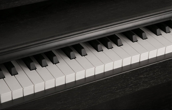 Music City – Tổng Kho Piano, Guitar, Organ | Dịch Vụ Giáo Dục Âm Nhạc