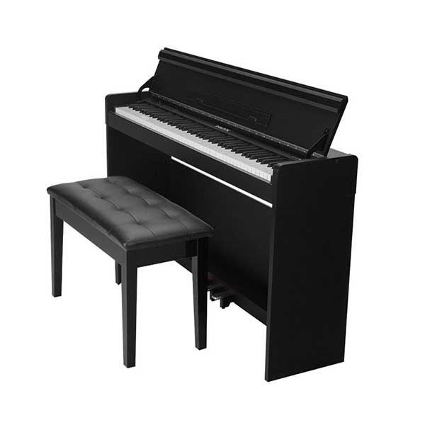 Music City – Tổng Kho Piano, Guitar, Organ | Dịch Vụ Giáo Dục Âm Nhạc