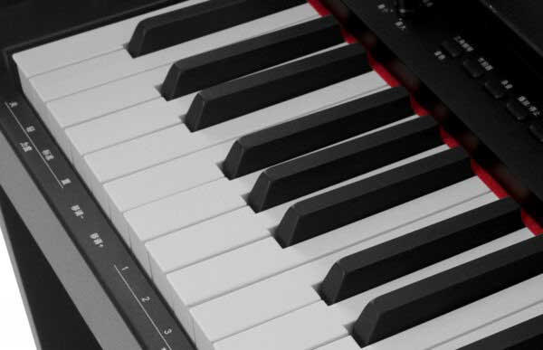 Music City – Tổng Kho Piano, Guitar, Organ | Dịch Vụ Giáo Dục Âm Nhạc