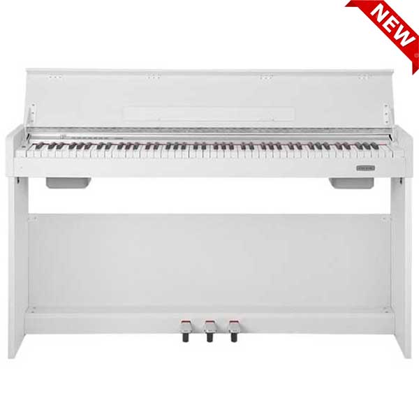 Music City – Tổng Kho Piano, Guitar, Organ | Dịch Vụ Giáo Dục Âm Nhạc