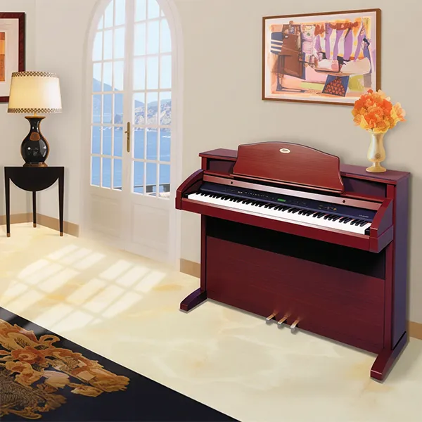 Music City – Tổng Kho Piano, Guitar, Organ | Dịch Vụ Giáo Dục Âm Nhạc