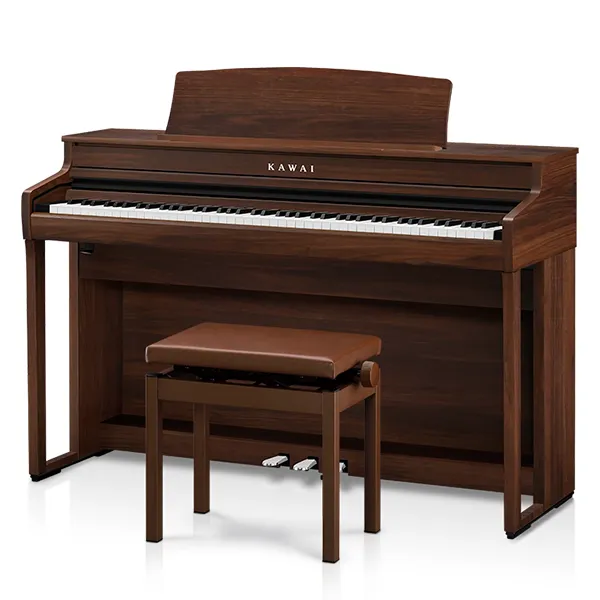 Music City – Tổng Kho Piano, Guitar, Organ | Dịch Vụ Giáo Dục Âm Nhạc