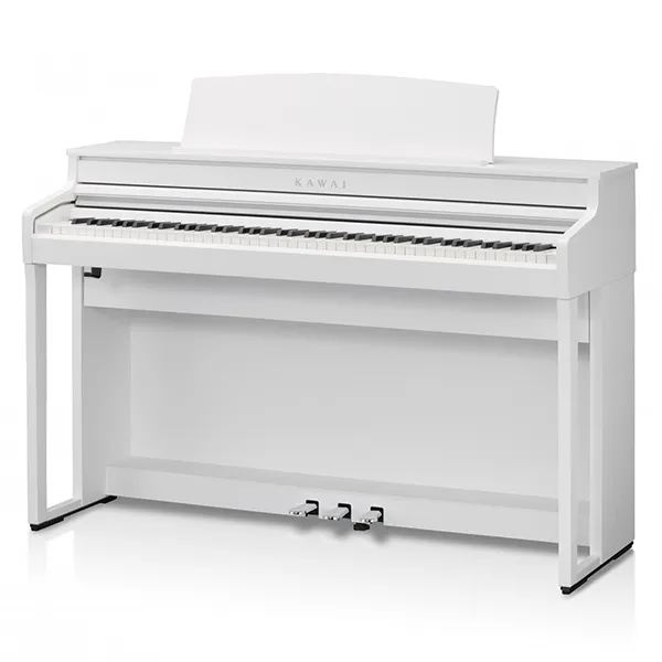 Music City – Tổng Kho Piano, Guitar, Organ | Dịch Vụ Giáo Dục Âm Nhạc
