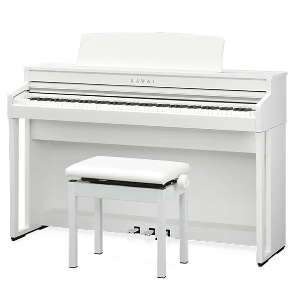 Music City – Tổng Kho Piano, Guitar, Organ | Dịch Vụ Giáo Dục Âm Nhạc