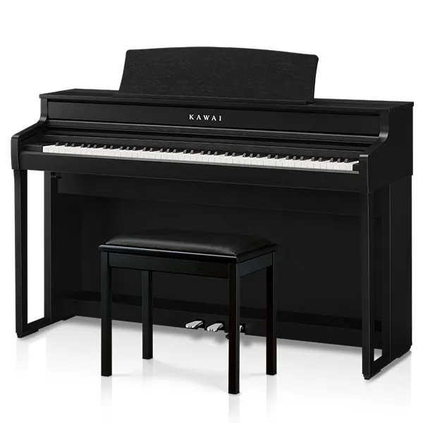 Music City – Tổng Kho Piano, Guitar, Organ | Dịch Vụ Giáo Dục Âm Nhạc