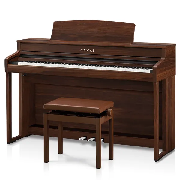 Music City – Tổng Kho Piano, Guitar, Organ | Dịch Vụ Giáo Dục Âm Nhạc