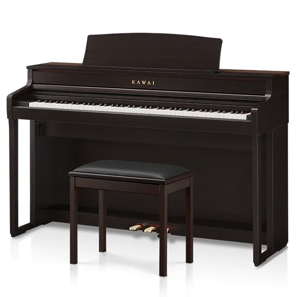 Music City – Tổng Kho Piano, Guitar, Organ | Dịch Vụ Giáo Dục Âm Nhạc