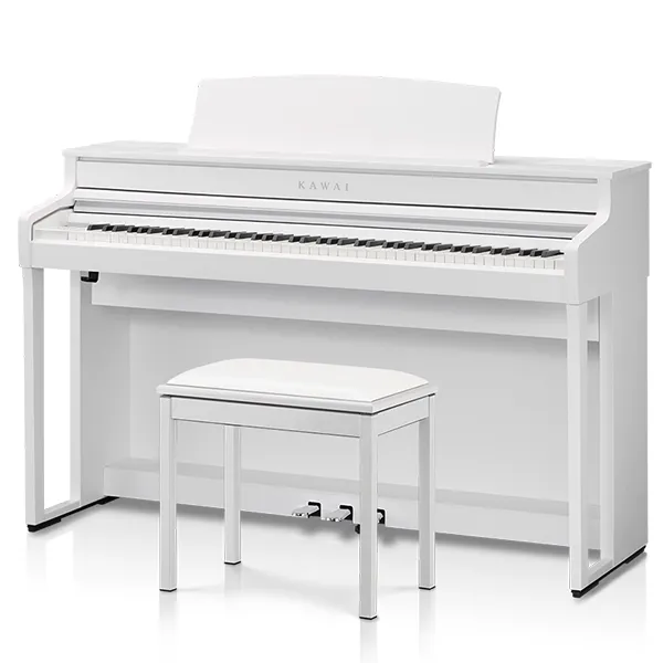 Music City – Tổng Kho Piano, Guitar, Organ | Dịch Vụ Giáo Dục Âm Nhạc
