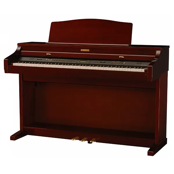 Music City – Tổng Kho Piano, Guitar, Organ | Dịch Vụ Giáo Dục Âm Nhạc