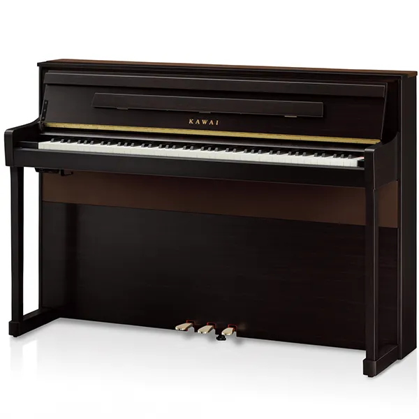 Music City – Tổng Kho Piano, Guitar, Organ | Dịch Vụ Giáo Dục Âm Nhạc