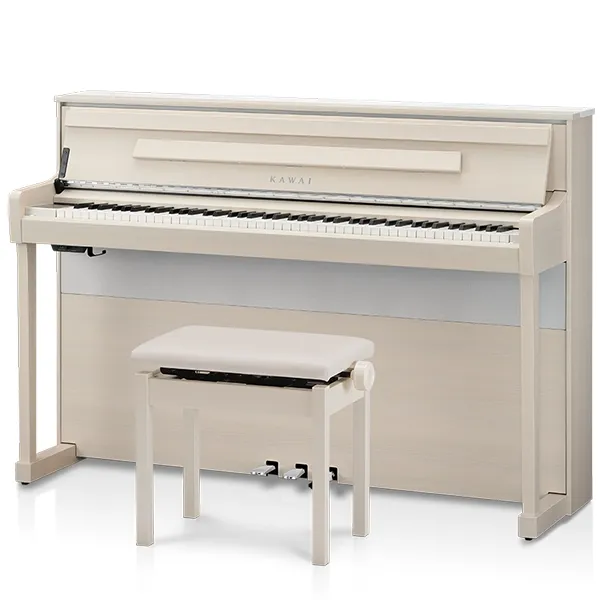 Music City – Tổng Kho Piano, Guitar, Organ | Dịch Vụ Giáo Dục Âm Nhạc