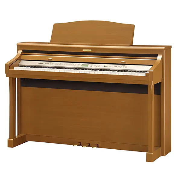 Music City – Tổng Kho Piano, Guitar, Organ | Dịch Vụ Giáo Dục Âm Nhạc