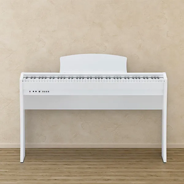 Music City – Tổng Kho Piano, Guitar, Organ | Dịch Vụ Giáo Dục Âm Nhạc
