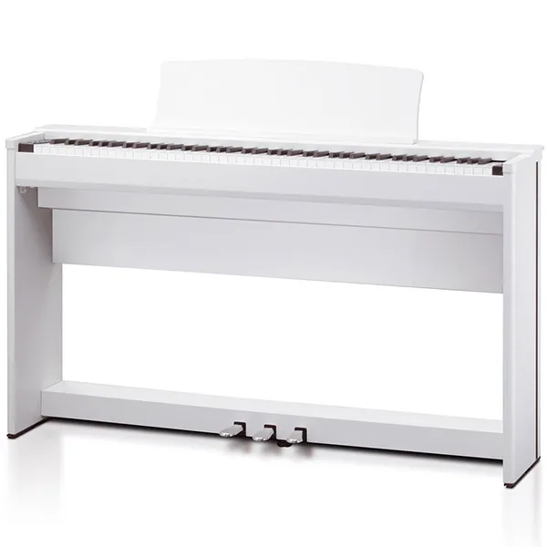 Music City – Tổng Kho Piano, Guitar, Organ | Dịch Vụ Giáo Dục Âm Nhạc