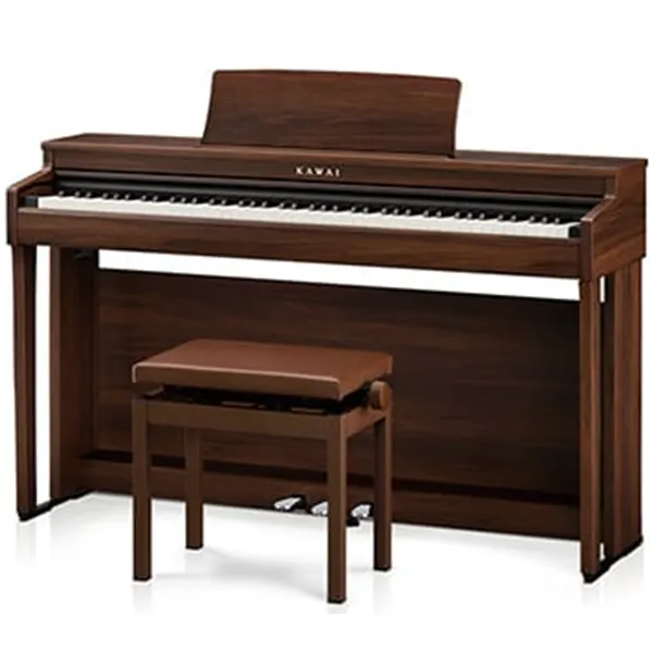 Music City – Tổng Kho Piano, Guitar, Organ | Dịch Vụ Giáo Dục Âm Nhạc