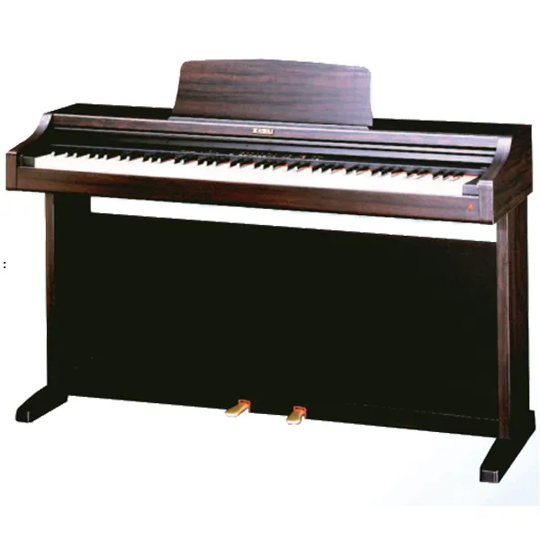 Music City – Tổng Kho Piano, Guitar, Organ | Dịch Vụ Giáo Dục Âm Nhạc
