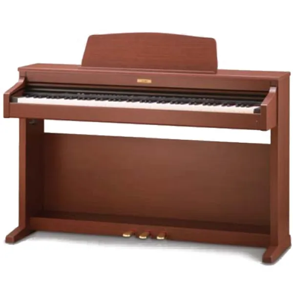Music City – Tổng Kho Piano, Guitar, Organ | Dịch Vụ Giáo Dục Âm Nhạc