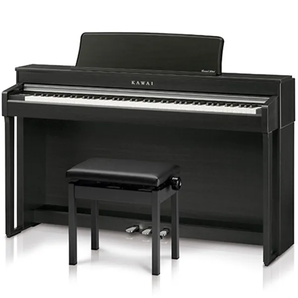 Music City – Tổng Kho Piano, Guitar, Organ | Dịch Vụ Giáo Dục Âm Nhạc