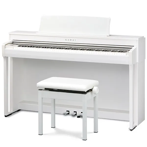 Music City – Tổng Kho Piano, Guitar, Organ | Dịch Vụ Giáo Dục Âm Nhạc