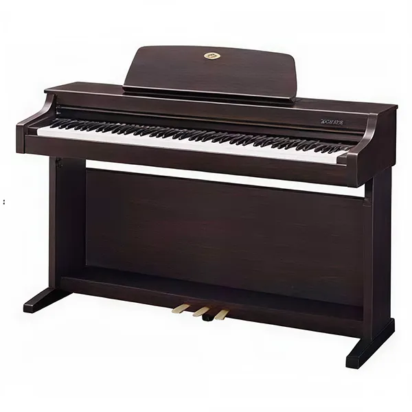 Music City – Tổng Kho Piano, Guitar, Organ | Dịch Vụ Giáo Dục Âm Nhạc