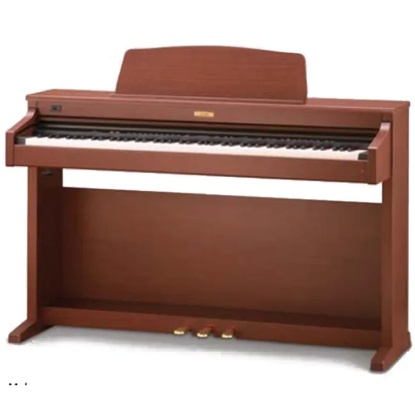 Music City – Tổng Kho Piano, Guitar, Organ | Dịch Vụ Giáo Dục Âm Nhạc