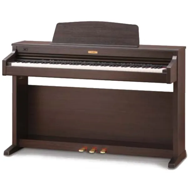 Music City – Tổng Kho Piano, Guitar, Organ | Dịch Vụ Giáo Dục Âm Nhạc